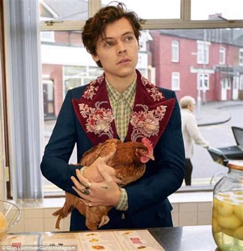 Harry Styles’ new Gucci campaign features a chip shop, a dog 